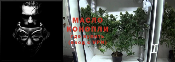 ешки Снежинск