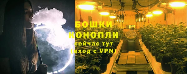 трава Снежногорск