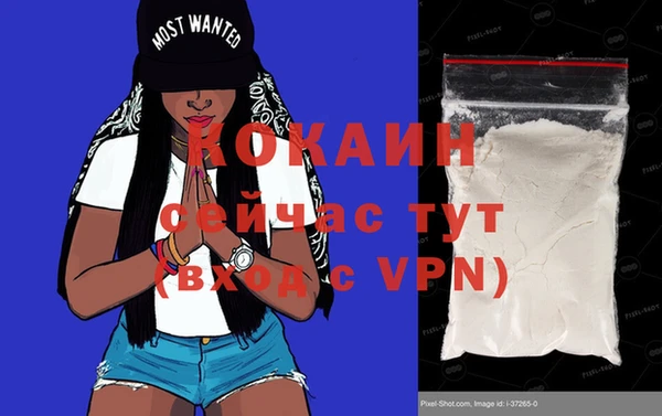 ешки Снежинск