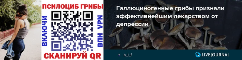 Галлюциногенные грибы Psilocybine cubensis  Талдом 